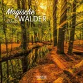 Produktbild: Magische Wälder 2026: Broschürenkalender mit Ferienterminen. Format: 30 x 30 cm