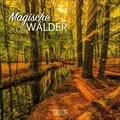 Produktbild: Magische Wälder 2026: Broschürenkalender mit Ferient... | Buch | Zustand wie neu