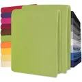 Produktbild: CelinaTex Jersey Spannbettlaken Lucina Doppelpack 90x200-100x200cm grün 100% Baumwolle gekämmt bis 26cm Matratzenhöhe Spannbettbezug, Leintuch, Bettlaken, elastisch, Strech, Oeko-Tex