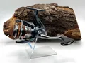 Produktbild: Shimano Nasci FD C3000 Spinnrolle Frontbremse Stationärrolle Angelrolle Rolle DA