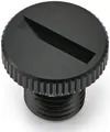 Produktbild: Daytona Spiegelschraube Stopfen Spiegelverschluss SW GW Li M10x1,
