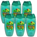 Produktbild: 6 er Pack Palmolive Aloe You Duschgel 6 x 250 ml