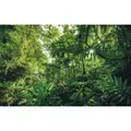 Produktbild: Komar Vliestapete, Bäume, 400x250 cm, FSC Mix, Tapeten & Wandverkleidungen, Vliestapeten