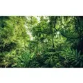 Produktbild: Komar Fototapete Vlies Into The Jungle  400 x 250 cm