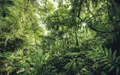 Produktbild: Vlies-Fototapete KOMAR, STEFAN HEFELE INTO THE JUNGLE, 4 Teile, BxH 400 x 250 cm