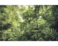 Produktbild: Fototapete Vlies SH041-VD4 Stefan Hefele Ed 1 Into The Jungle 4-tlg. 400 x 250 c