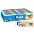 Produktbild: Extra Professional Fresh Melon Mint, Zuckerfreier Kaugummi, Multipack mit 30x10 Dragees, Für frischen Atem
