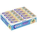Produktbild: Multipack: 30x Wrigley's EXTRA® PROFESSIONAL Fresh Melon Mint à 10 Dragees