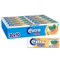 Produktbild: Professional Fresh Melon Mint, Zuckerfreier Kaugummi, Multipack mit 30x10 Dra...