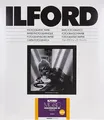 Produktbild: ILFORD MG V 25M 17.8x24.0cm/25 Blatt #1180497