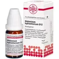 Produktbild: Histaminum hydrochloricum D 12 Globuli 10 g