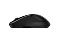 Produktbild: HP 250 - Maus - optisch - 3 Tasten - kabellos