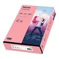 Produktbild: Inapa farbiges Druckerpapier, buntes Papier tecno Colors: 120 g/m², A4, 250 Blatt, rosa