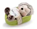 Produktbild: NICI 61583 Plüsch Sleeping Pets - Forest Edition - Igel mit Fliegenpilz