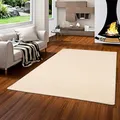 Produktbild: Snapstyle Natur Teppich Wolle Berber Beige in 24 Größen