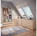 Produktbild: Vicco Kleiderschrank Elmo, Sonoma, 100 x 200 cm mit 2 Schubladen (1-St)