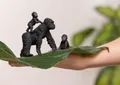 Produktbild: schleich WILD LIFE 42601 Kinderspielzeugfigur (42601)
