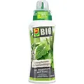 Produktbild: Compo BIO Grünpflanzen- und Palmendünger 500ml