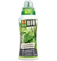 Produktbild: COMPO BIO Grünpflanzendünger und Palmendünger, 100% natürliche Inhaltsstoffe, Fl