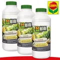 Produktbild: COMPO BIO 3 x 1l Grundstoff Brennessel Schädlingsabwehr Konzentrat Urtica