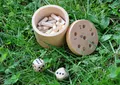 Produktbild: Kleine Tonne - Würfelspiel aus Holz - 6 raus - für Kinder ab 4,  Holzspielzeug