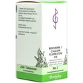 Produktbild: BIOCHEMIE 1 Calcium fluoratum D 6 Tabletten 200St Tabletten PZN 4324828