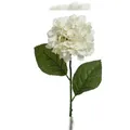 Produktbild: Decoris Kunstblumen Hortensie 66cm Künstliche Seidenblumen Dekoblumen Blumendeko Weiß