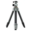 Produktbild: Rollei Lion Rock Traveler Pro (Carbon) (46214344)