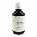 Produktbild: ZinZino BalanceOil+ Fischöl mit Omega-3 2478 mg, Omega-9, Vitamin D3, Tocopherol