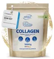 Produktbild: Collagen Pulver 1 kg – Kollagenhydrolysat Peptide Typ I, II & III – Geschmacksneutrales Eiweißpulver – Made in Germany – Wehle Sports (1000g (1er Pack)) - Verpackung kann variieren.