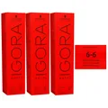 Produktbild: Schwarzkopf Igora Royal 3 x 60 ml 6-6 dunkelblond schoko Haarfarbe Cremefarbe Se