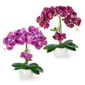 Produktbild: PASCH® 2er Set Künstliche Orchideen in Hochglanz-Keramiktöpfen (40cm) | Kunstblumen Wie Echt | Künstliche Blumen im Topf (Purpur-Lila)