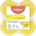 Produktbild: Bolsius Duft-teelichte Maxi 8 Stunden 8er Pack True Scents Mimose Duftkerze
