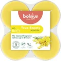 Produktbild: Bolsius Duft-Teelichte Maxi 8 Stunden 8er Pack True Scents Mimose  Duftkerze
