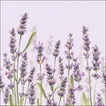 Produktbild: Ambiente Servietten, 20 Stück, Lavendel
