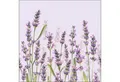 Produktbild: Ambiente Luxury Paper Products Papierserviette, Servietten Papier 33x33cm 3-lag mit Aquarell Lavendel Motiv 20 Stk