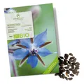 Produktbild: BIO Borretsch Samen - Küchenkräuter Saatgut aus biologischem Anbau (40 Korn)