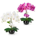 Produktbild: PASCH® 2er Set Orchideen künstlich in Hochglanz-Keramiktöpfen (40cm) | Kunstblumen im Topf | Kunstblumen wie echt | künstliche Orchideen im Topf | künstliche Blumen im Topf | Kunstblume Orchidee