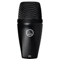 Produktbild: AKG P2 Dynamisches Hochleistungs-Bassmikrofon, Schwarz