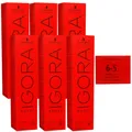 Produktbild: Schwarzkopf Igora Royal 6 x 60 ml 6-5 dunkelblond gold Haarfarbe Cremefarbe Set