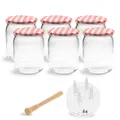 Produktbild: Fermentier Starter Set 6 Fermentiergläser 540 ml mit Gitter Deckel und Holzst...