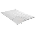Produktbild: IRISETTE Luna 135x200 cm, Vierjahreszeiten Daunensteppbett