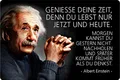 Produktbild: Schatzmix Blechschild Spruch Albert Einstein Geniess Die Zeit Metallschild Wanddeko 20x30 tin Sign