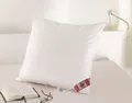 Produktbild: Neuheit Daunenkissen 5 Sterne Hotel Kissen 80x80 cm Canada 85% Federn 15% Daunen