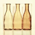 Produktbild: Unbekannt Sandra Rich. Glas VASE Bottle groß. 3 kleine Flaschen ca 18,5 x 6,5 cm. Orange - GELB. 1165-18-30