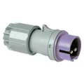 Produktbild: PCE KleinspannungStecker TWIST 2polig (072v)