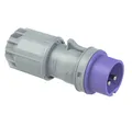 Produktbild: PCE Steckdose PCE Twist 072v CEE Stecker 32 A 2polig 24 V 1 St.