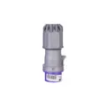 Produktbild: Portable Stecker 32A 2P 24V lila IP44 072v