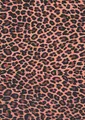 Produktbild: Papier Leopard