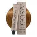 Produktbild: Schwarzkopf Igora Royal Absolutes 9-460 60ml